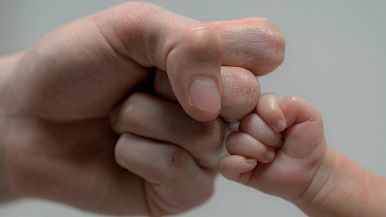 Prolife divide